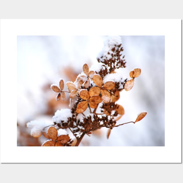 winter flowers Wall Art by kotay92